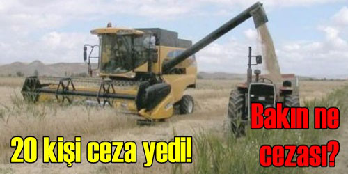 20 Biçerdövere Ceza Yazıldı