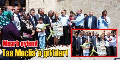 TBMM`de mısırlı HES tepkisi!