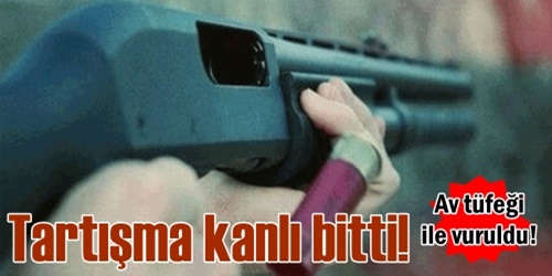 Tüfekle yaralandı