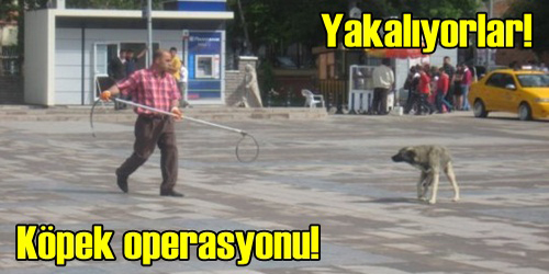Küpeleme Çalışması