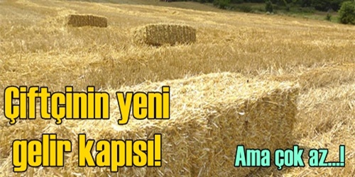  Saman ticareti sürüyor