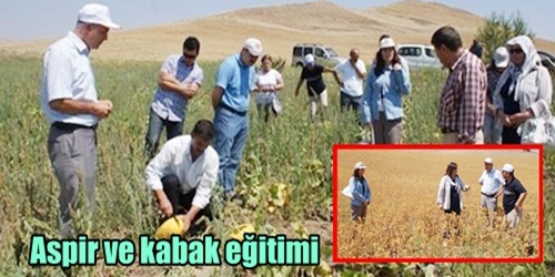 Aspir ve kabak eğitimi