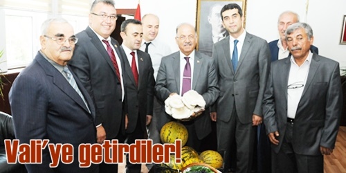 İlk hasadı Vali