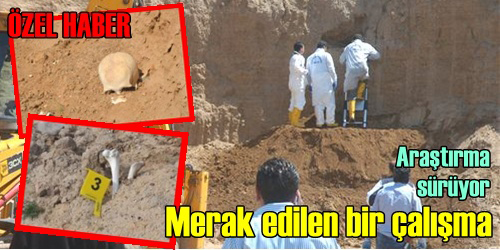 Merak Edilen Bir Çalışma