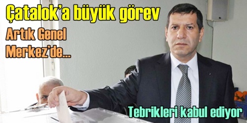 Çatalok