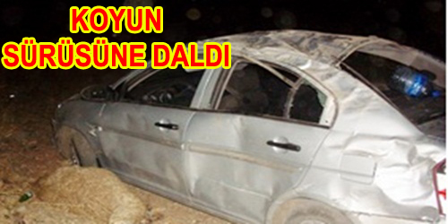 4 Kişi Ağır Yaralandı