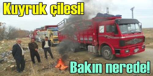 Hurdalıkta Kuyruk Çilesi!