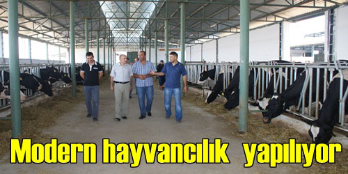 Kırıkkale