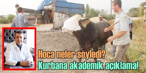 Kurban alırken dikkat!