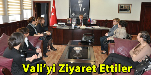 Bayanlardan Ziyaret
