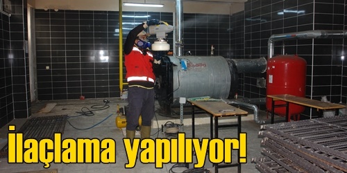 Haşere ile mücadele yapıyorlar