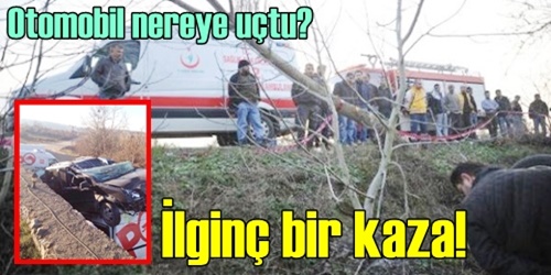 Otelin bahçesine uçtu!