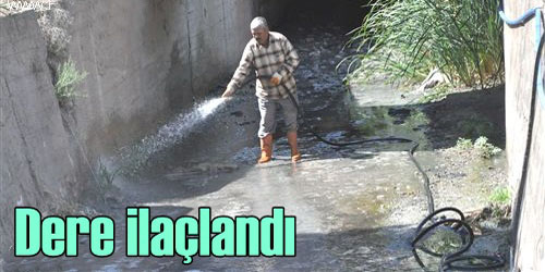 Koku Nedeniyle İlaçlandı