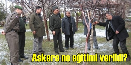 Askere budama eğitimi
