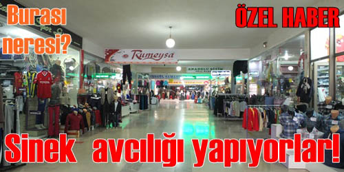 Sinek Avlıyorlar