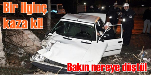 Otomobil evin bahçesine düştü