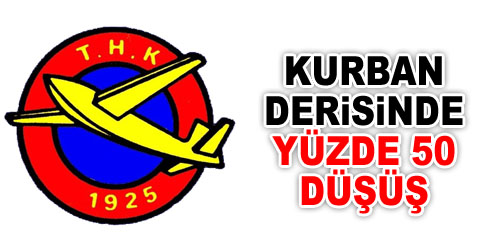 THK`nın Deri Kaybı