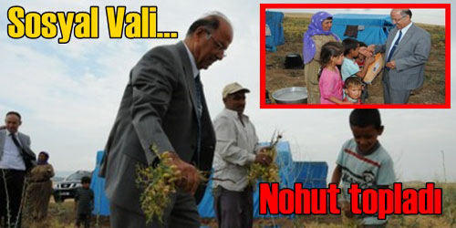 Vali Nohut Topladı