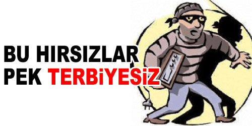 Hırsızın Böylesi!