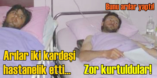 Arılar İki Kardeşi  Hastanelik Etti 