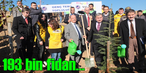 Fidan Diktiler