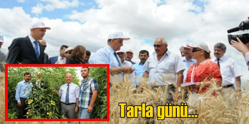 Birlikte Hasat Yaptılar